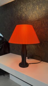 IMG_0009
